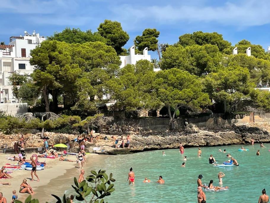 Apartment Playa D'or 16 / / Mallorca