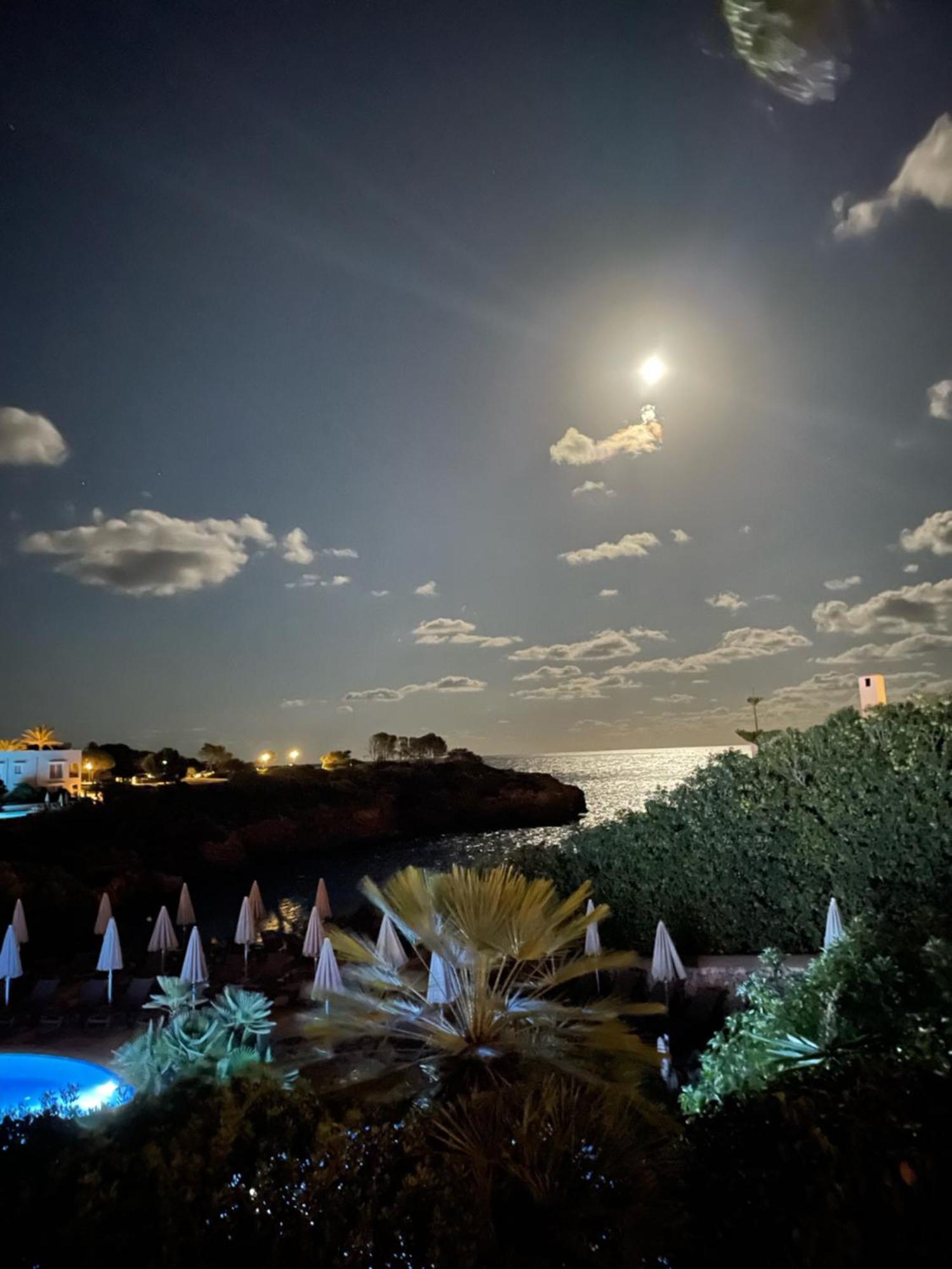 Apartment Playa D'or 16 / / Mallorca